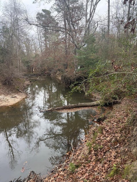 Photo of 371 County Road 4240, Kirbyville, TX 75928 (MLS # 14988117)