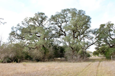 Photo of TBD Parcel 12 Lobo Lane, Columbus, TX 78934 (MLS # 87958790)