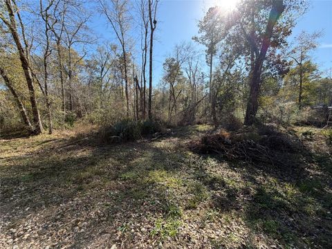 Vacant Land For Sale - TBD Little Lane<br/> Shepherd, TX 77371