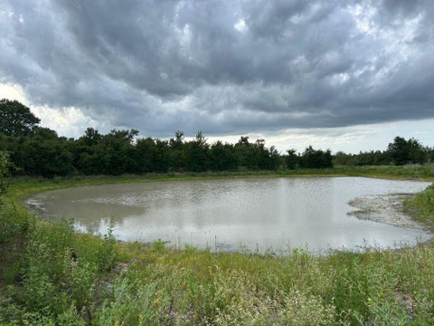 Photo of 8616 Schuster Road, Round Top, TX 78954 (MLS # 63830189)