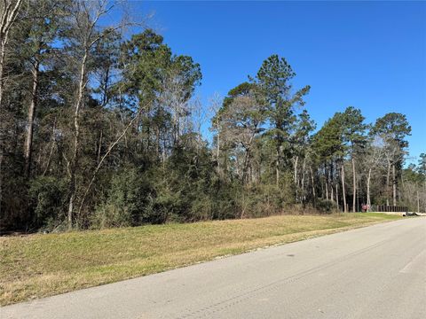 Photo of 15 Alamo Drive, Huntsville, TX 77340 (MLS # 60082486)