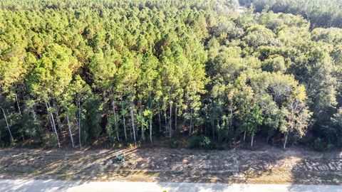 Photo of 1812 Road 66116, Dayton, TX 77535 (MLS # 49333286)