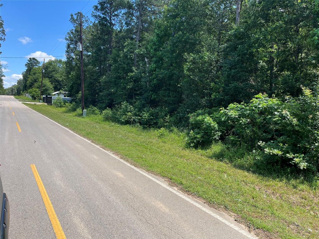 Photo of 25416 Cambridge Boulevard, New Caney, TX 77357 (MLS # 72323545)