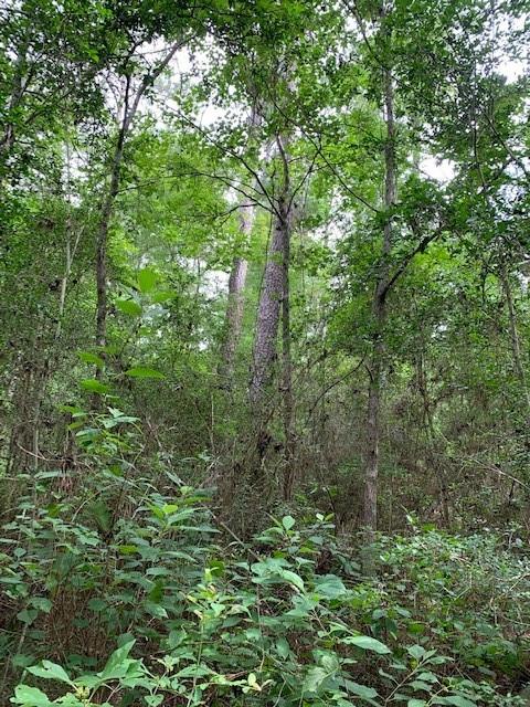 00 Bailey Grove Road