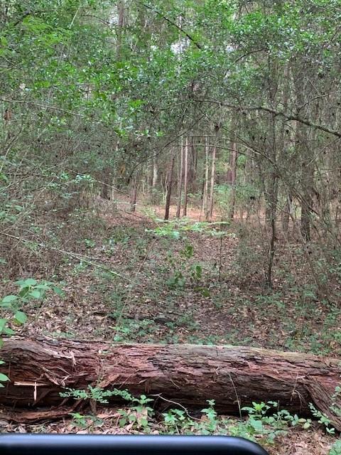 00 Bailey Grove Road