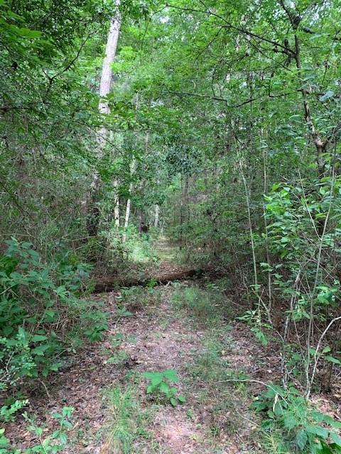 00 Bailey Grove Road