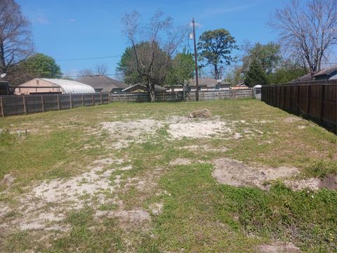 Photo of 6217 Willow Dale Street, Houston, TX 77087 (MLS # 60799044)