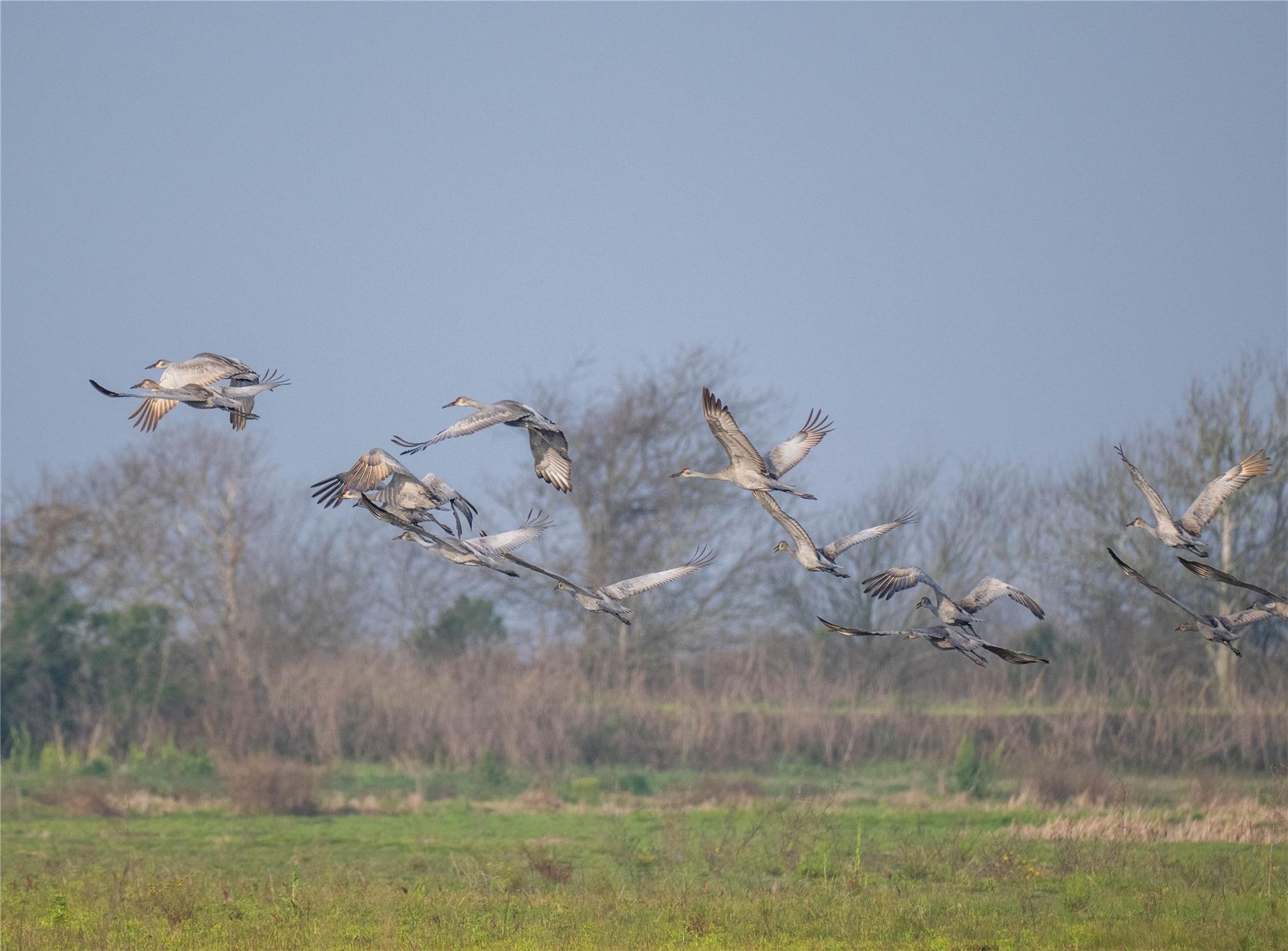 13458 County Road 210