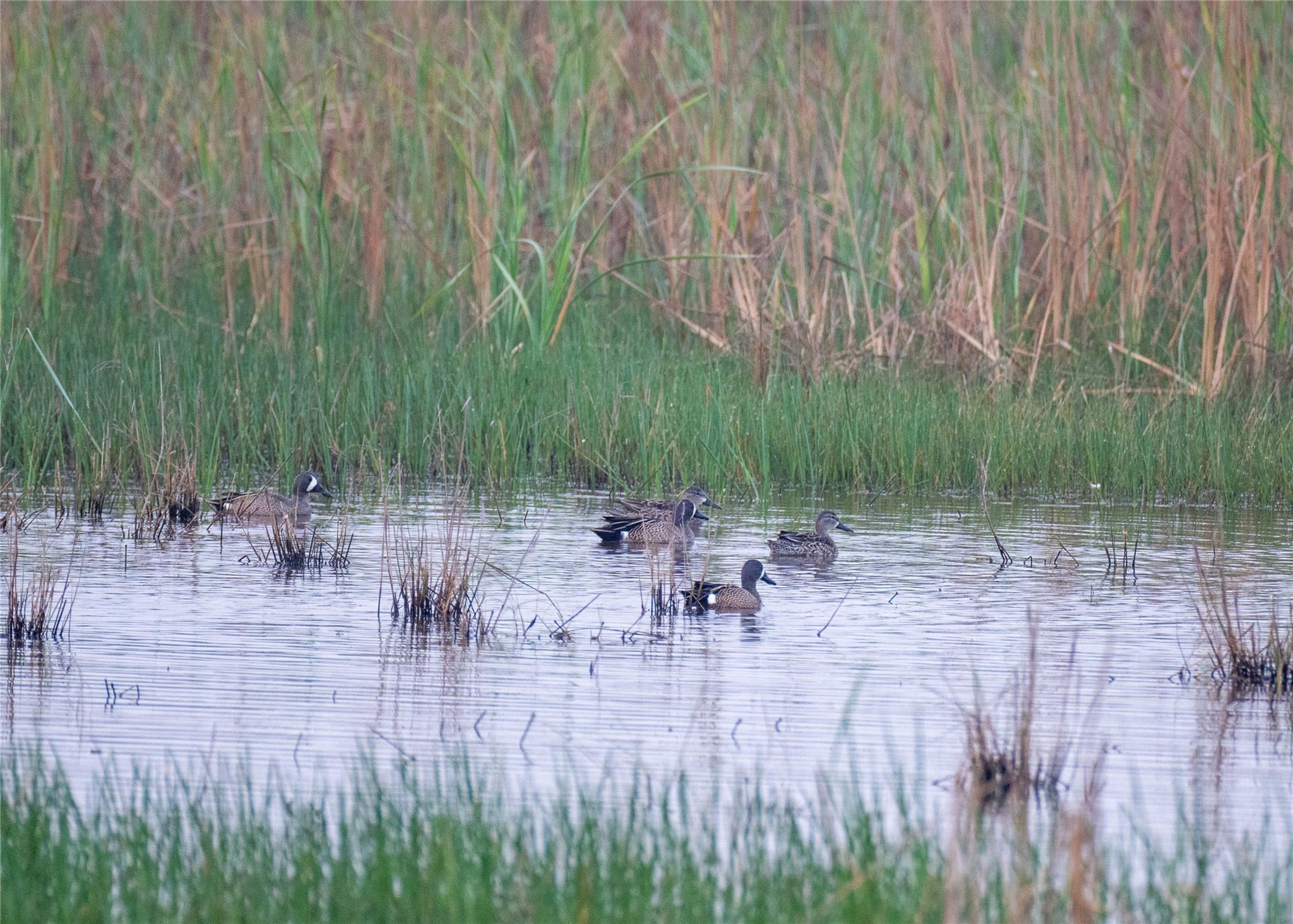 13458 County Road 210