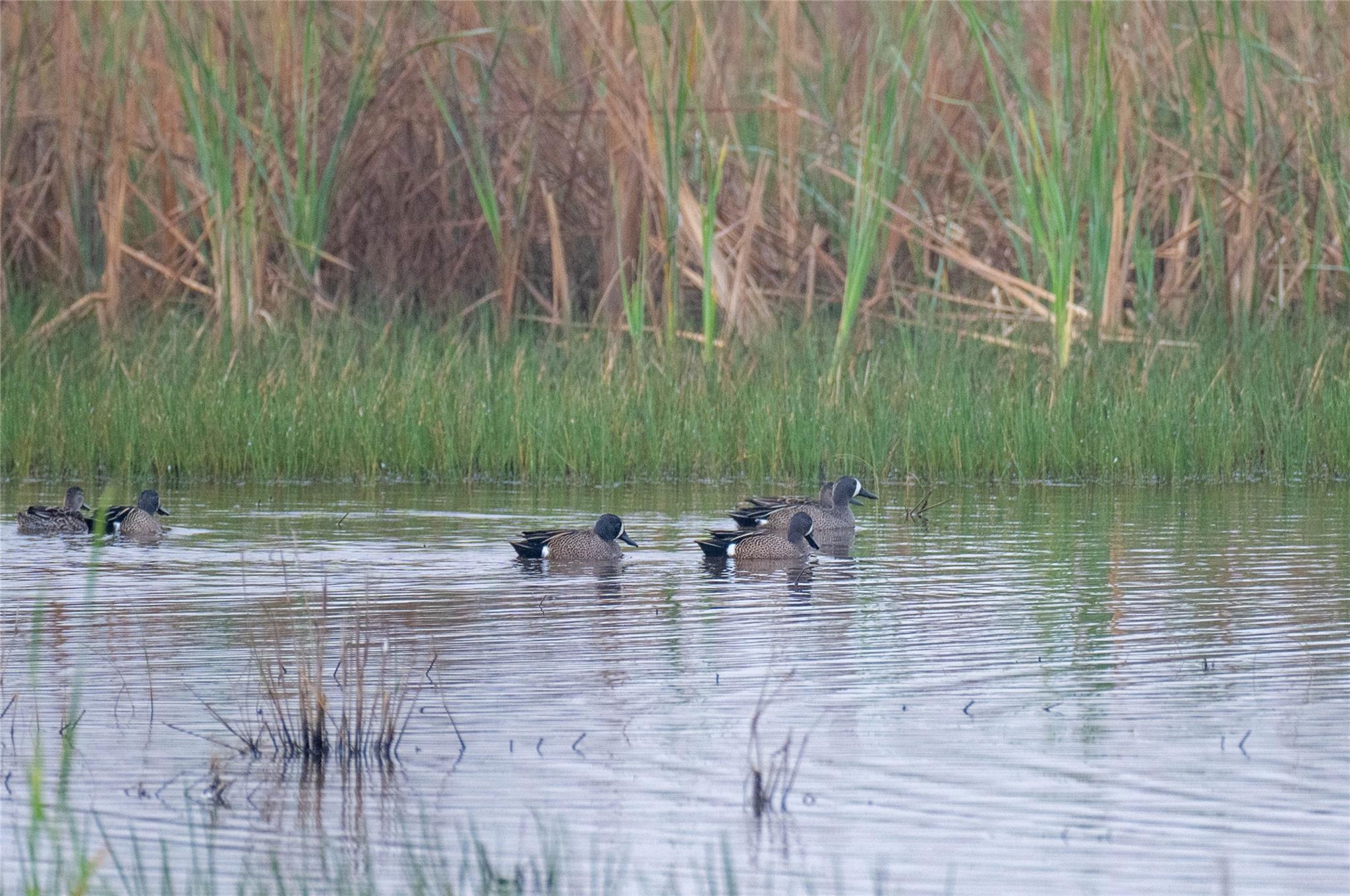 13458 County Road 210