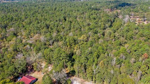 Photo of 105 Gourd Creek Drive, Huntsville, TX 77340 (MLS # 27347003)