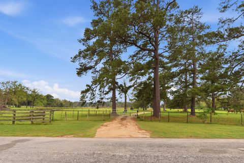Vacant Land For Sale - 882 Four Notch Road<br/> Walker County, Huntsville, TX 77340
