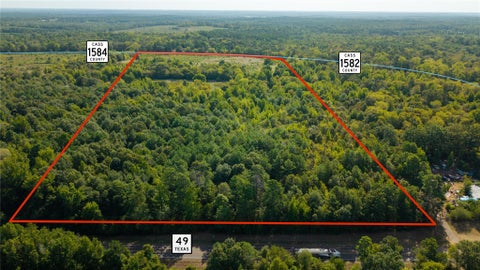 Vacant Land For Sale - LOT 1 County Rd 1584<br/> Cass County, Avinger, TX 75630