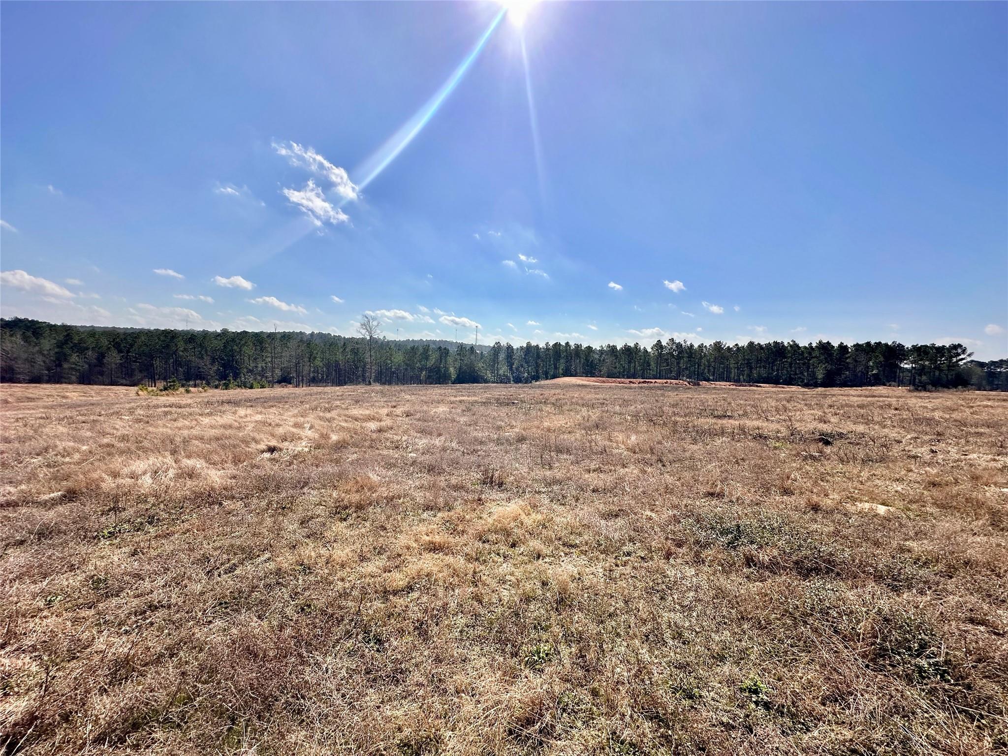 3483 Old Woodville Rd Drive