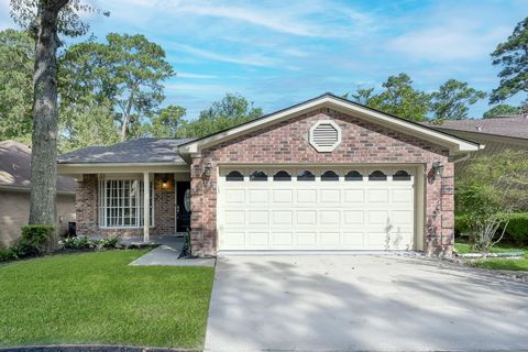 169 April Wind Court Conroe TX 77356