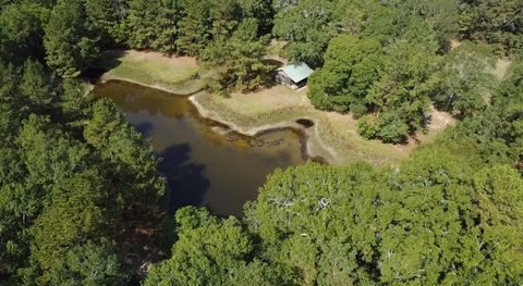 Photo of 3680 Holly Grove Road, Livingston, TX 77351 (MLS # 80774937) Photo of 3680 Holly Grove Road, Livingston, TX 77351 (MLS # 80774937)