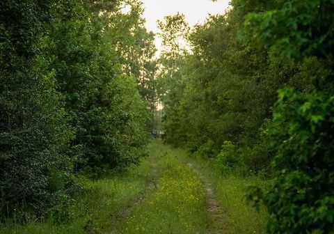 Photo of 39 Coyote Run, New Waverly, TX 77378 (MLS # 87305863)