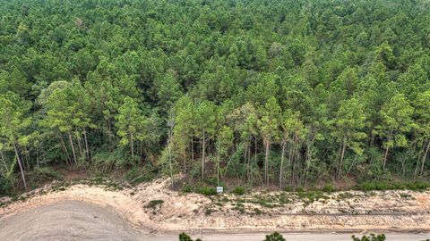 25011 Balmorhea Way Montgomery TX 77316