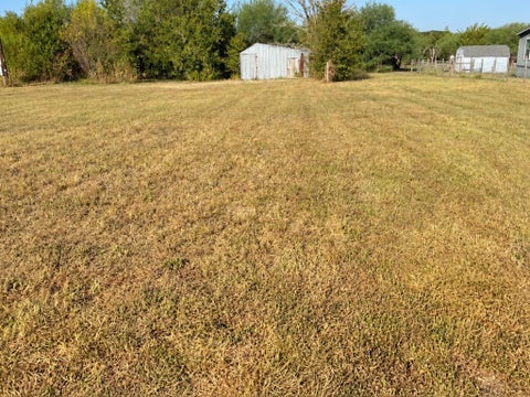 Vacant Land For Sale - 226 St Jude Lane<br/> Bellville, TX 77418