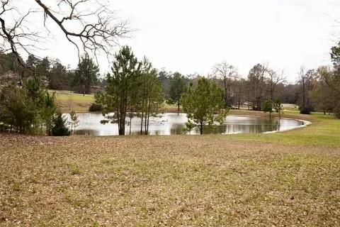 Photo of 135 N Forest Drive, Huntsville, TX 77340 (MLS # 78698822)
