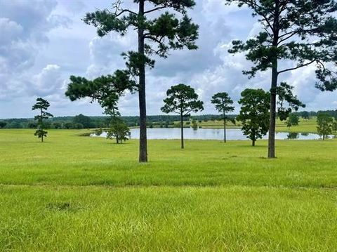 Vacant Land For Sale - LOT 234 Lakeland Ranch<br/> Hillister, TX 77624