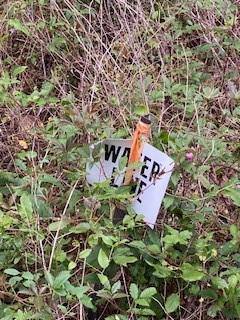 TBD Sandy Creek Lane