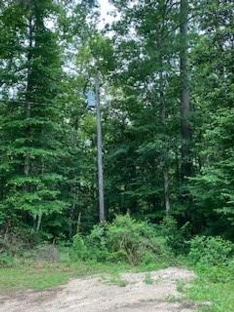 TBD Sandy Creek Lane Willis TX 77378