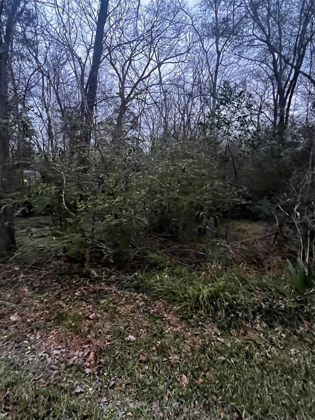 Photo of 0 Elm Street, Huffman, TX 77336 (MLS # 93308299)