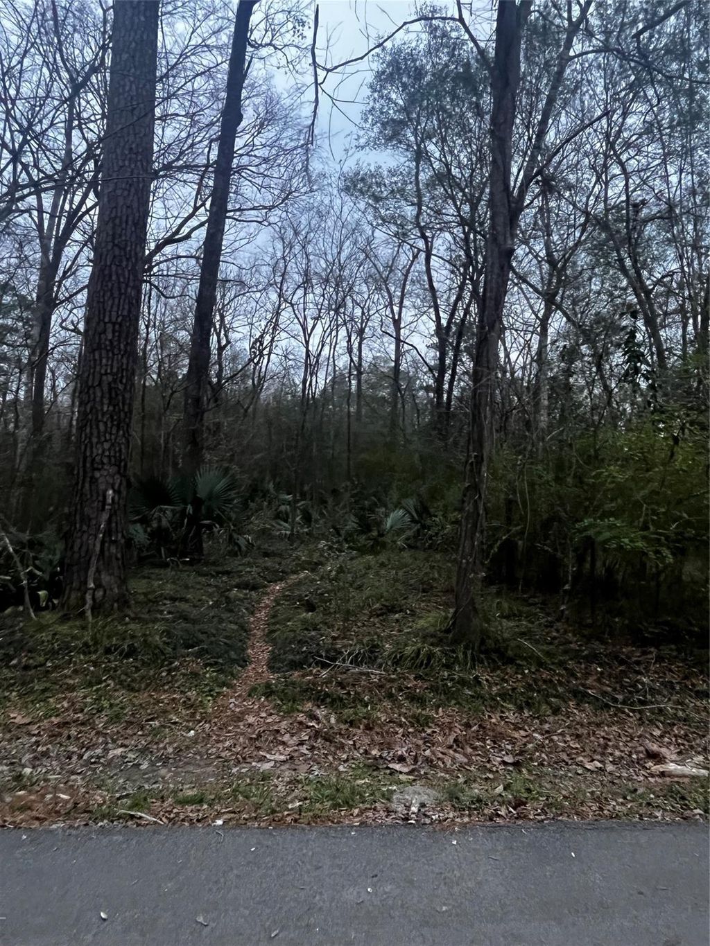 Photo of 0 Elm Street, Huffman, TX 77336 (MLS # 93308299)