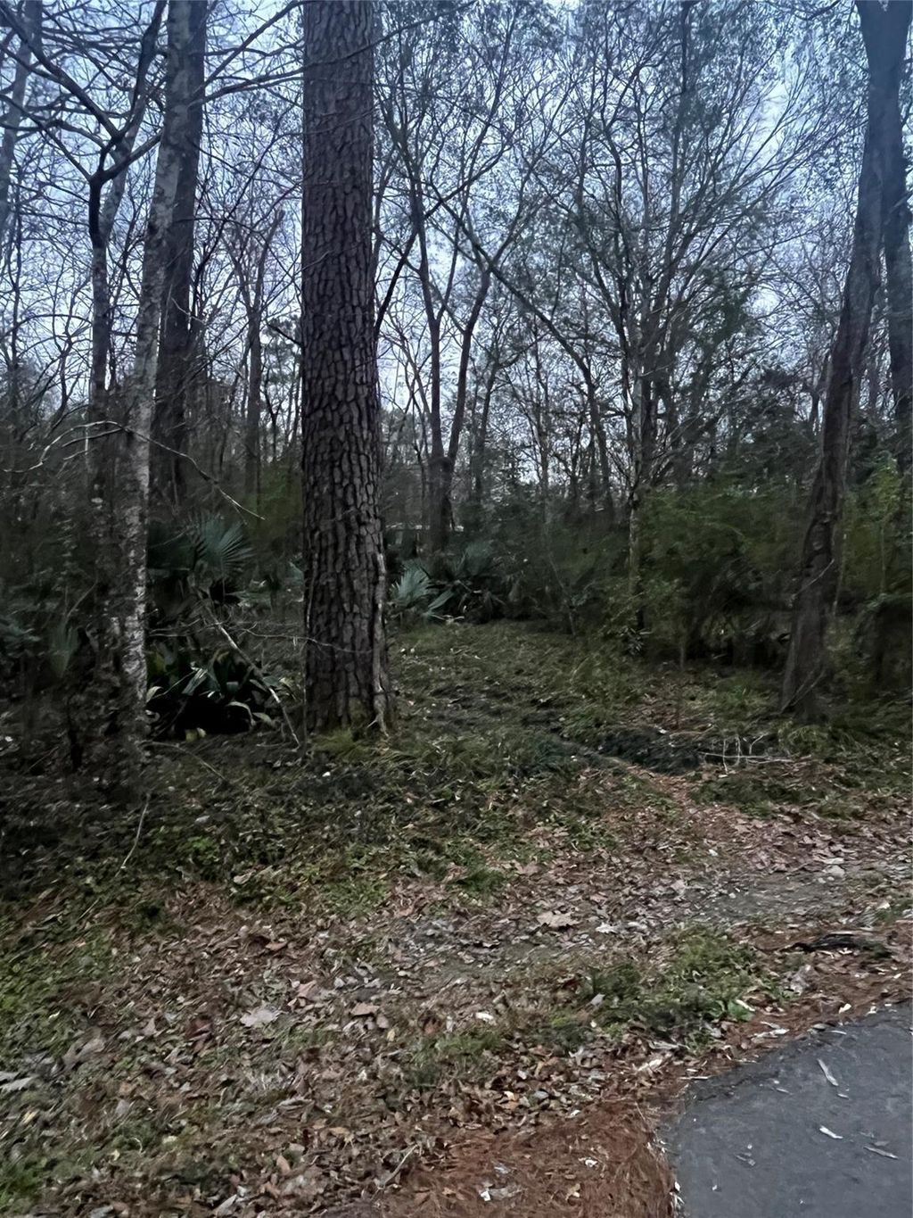 Photo of 0 Elm Street, Huffman, TX 77336 (MLS # 93308299)