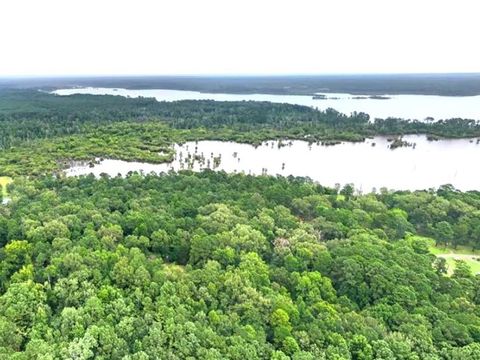 Vacant Land For Sale - 688 Private Rd 7830<br/> San Augustine County, Broaddus, TX 75929