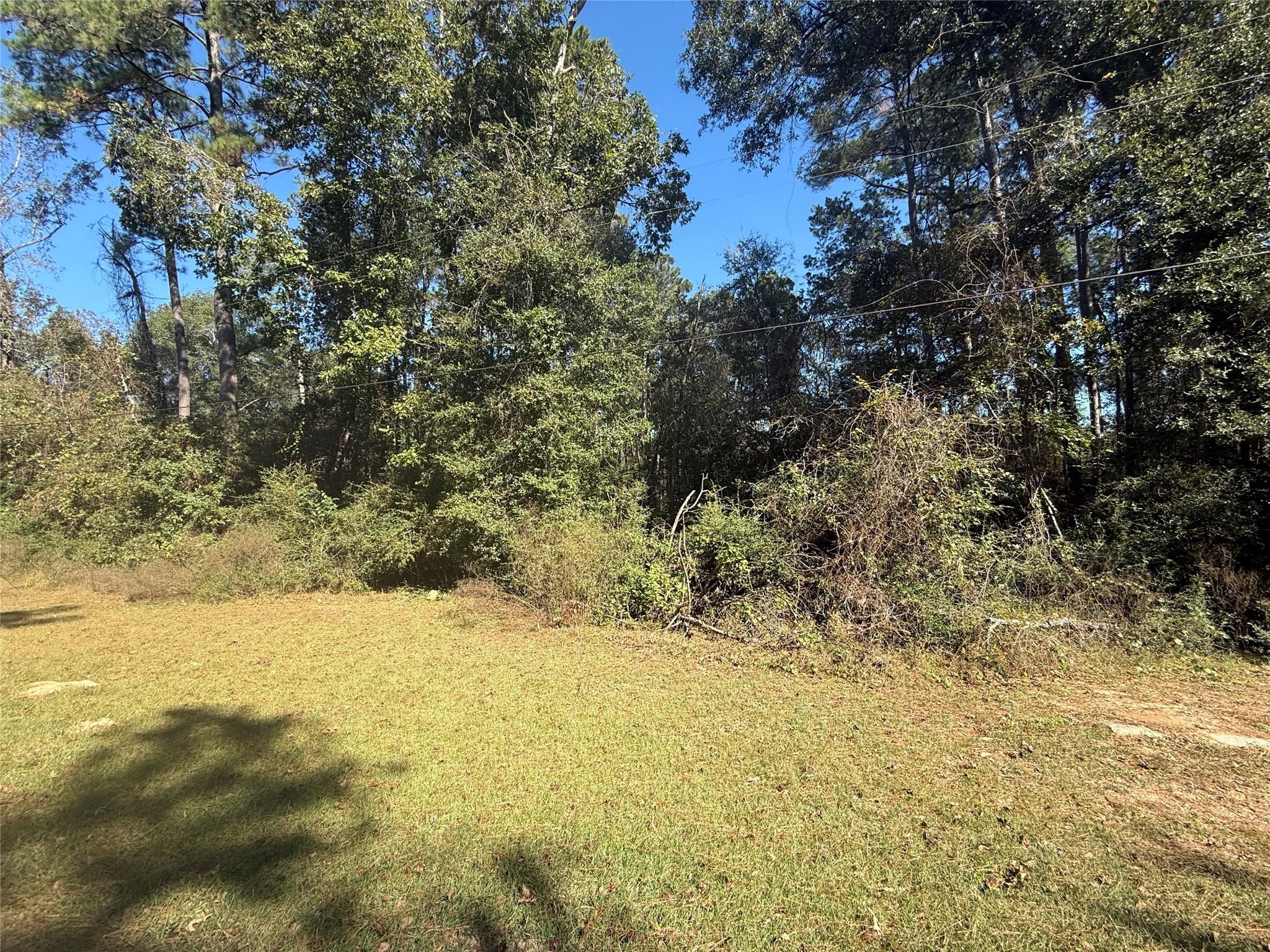 TBD1 Lake Shore Drive