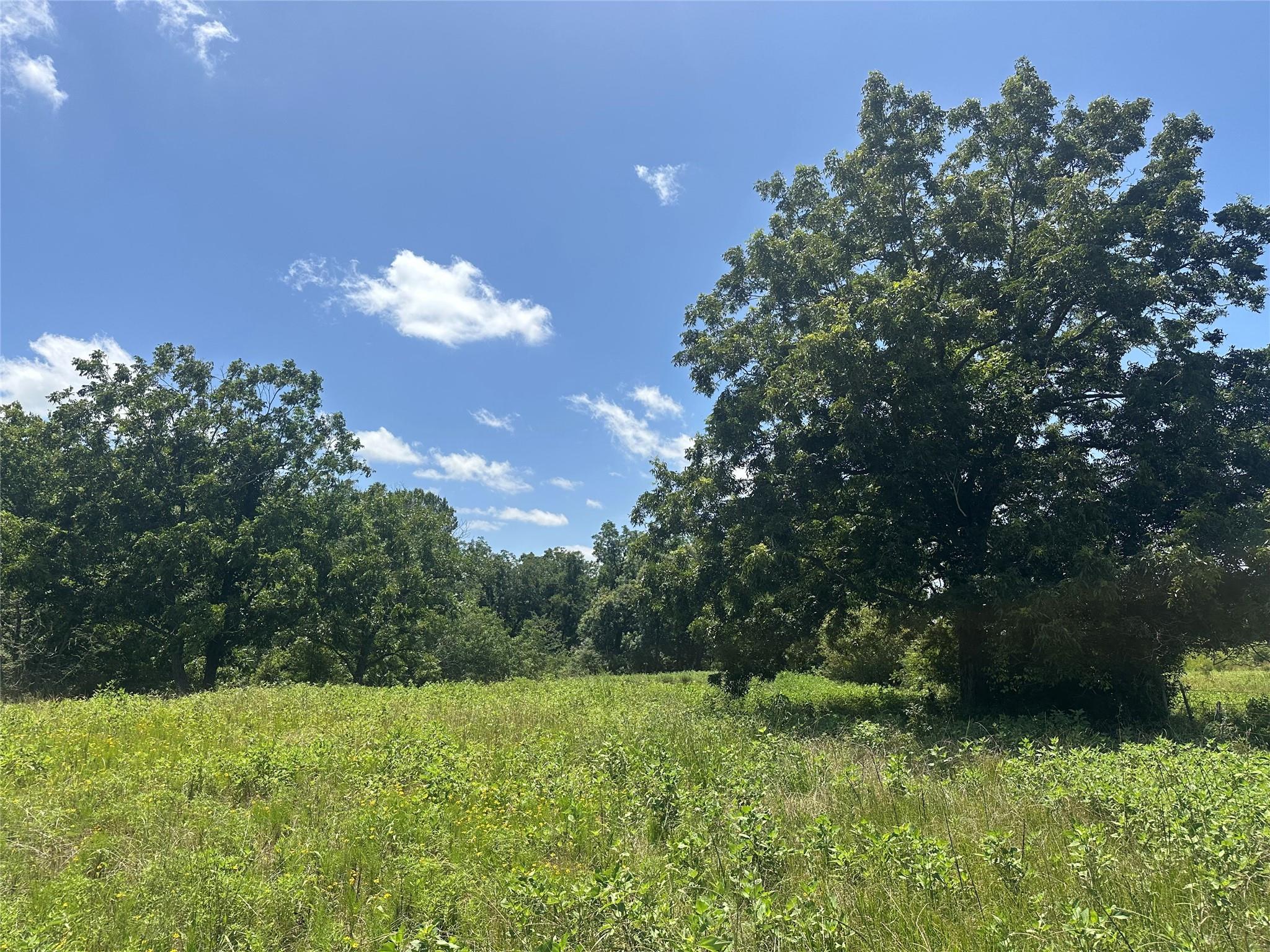 32AC County Road 2521