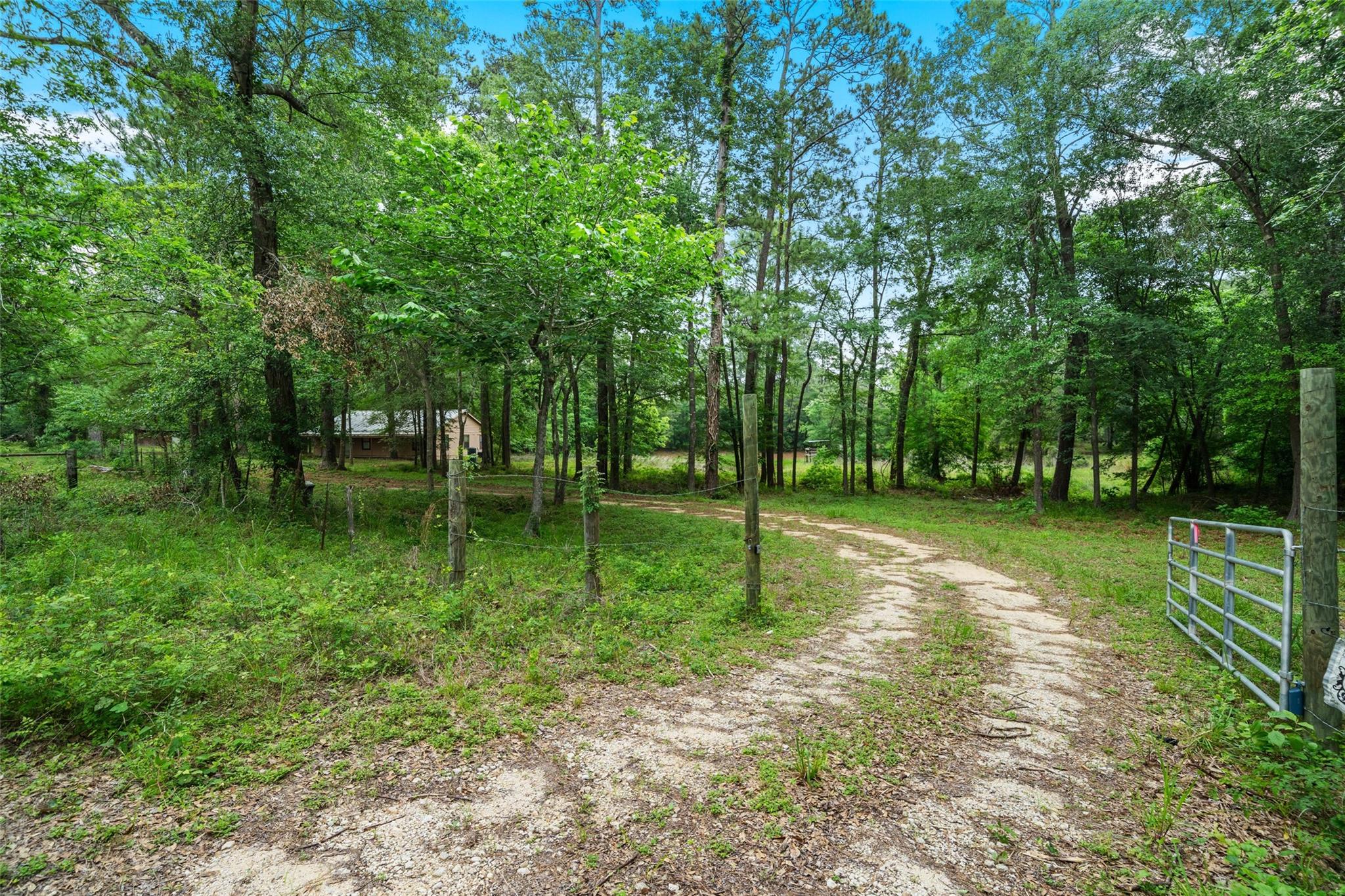 6071 County Road 448