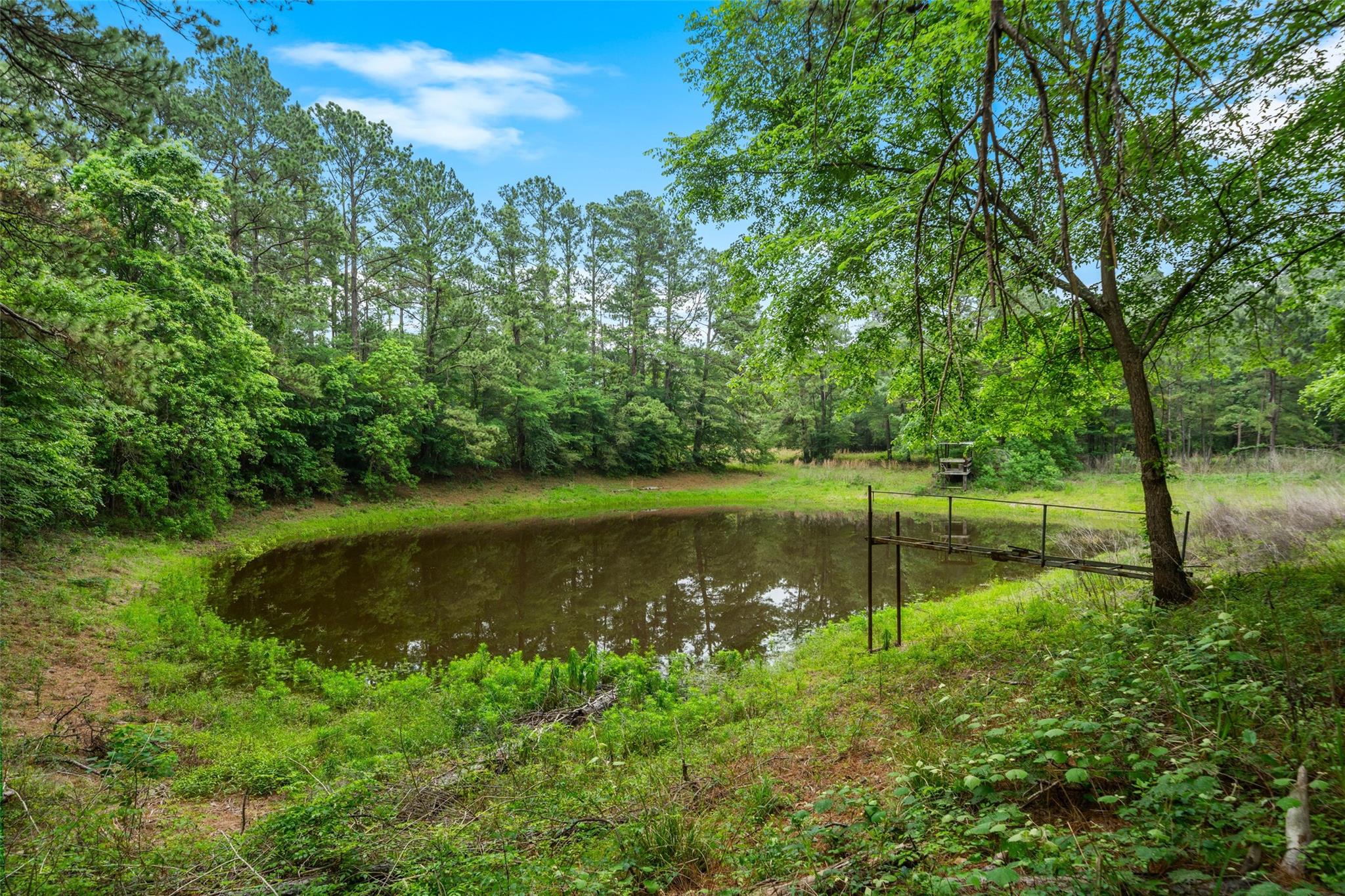 6071 County Road 448