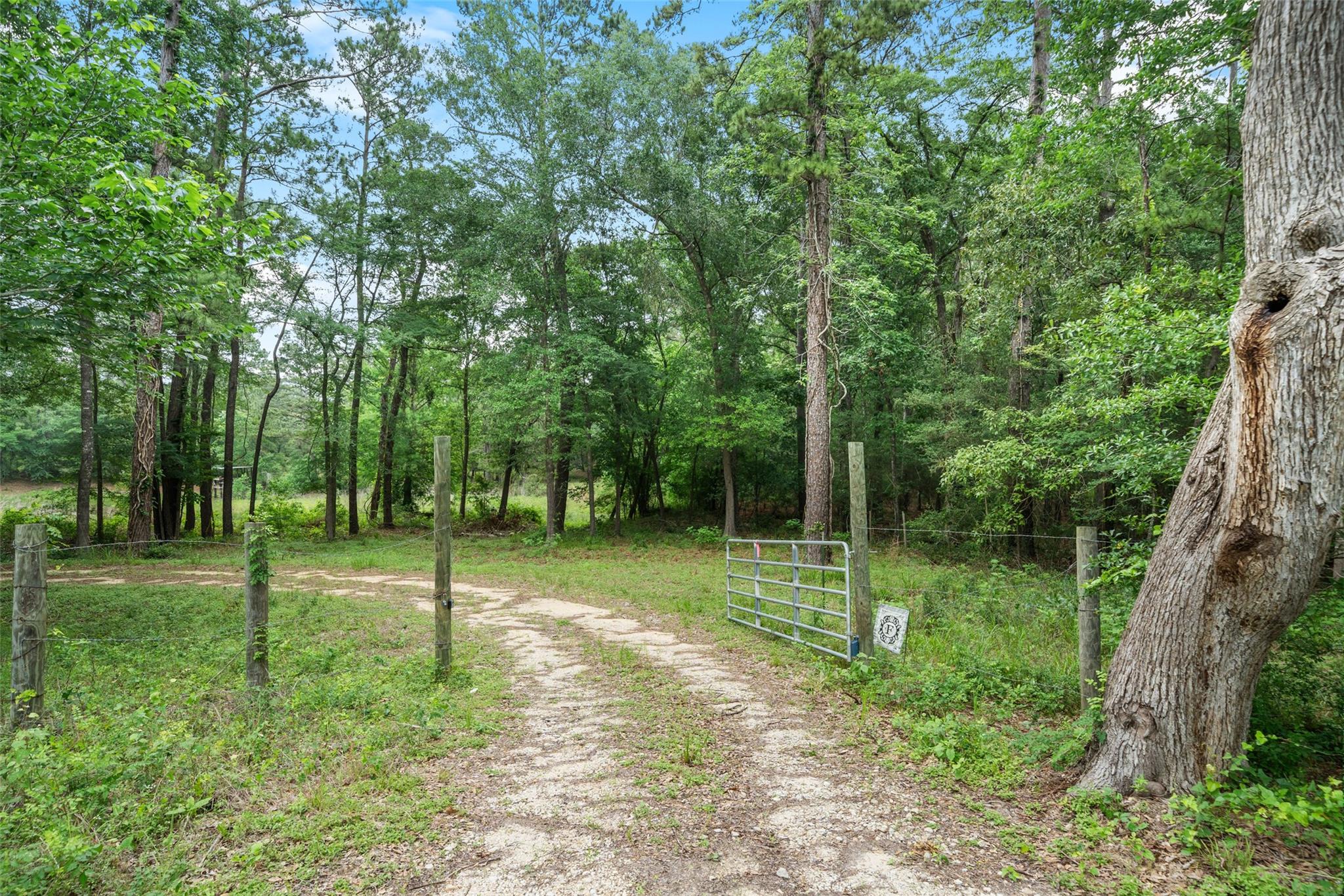 6071 County Road 448