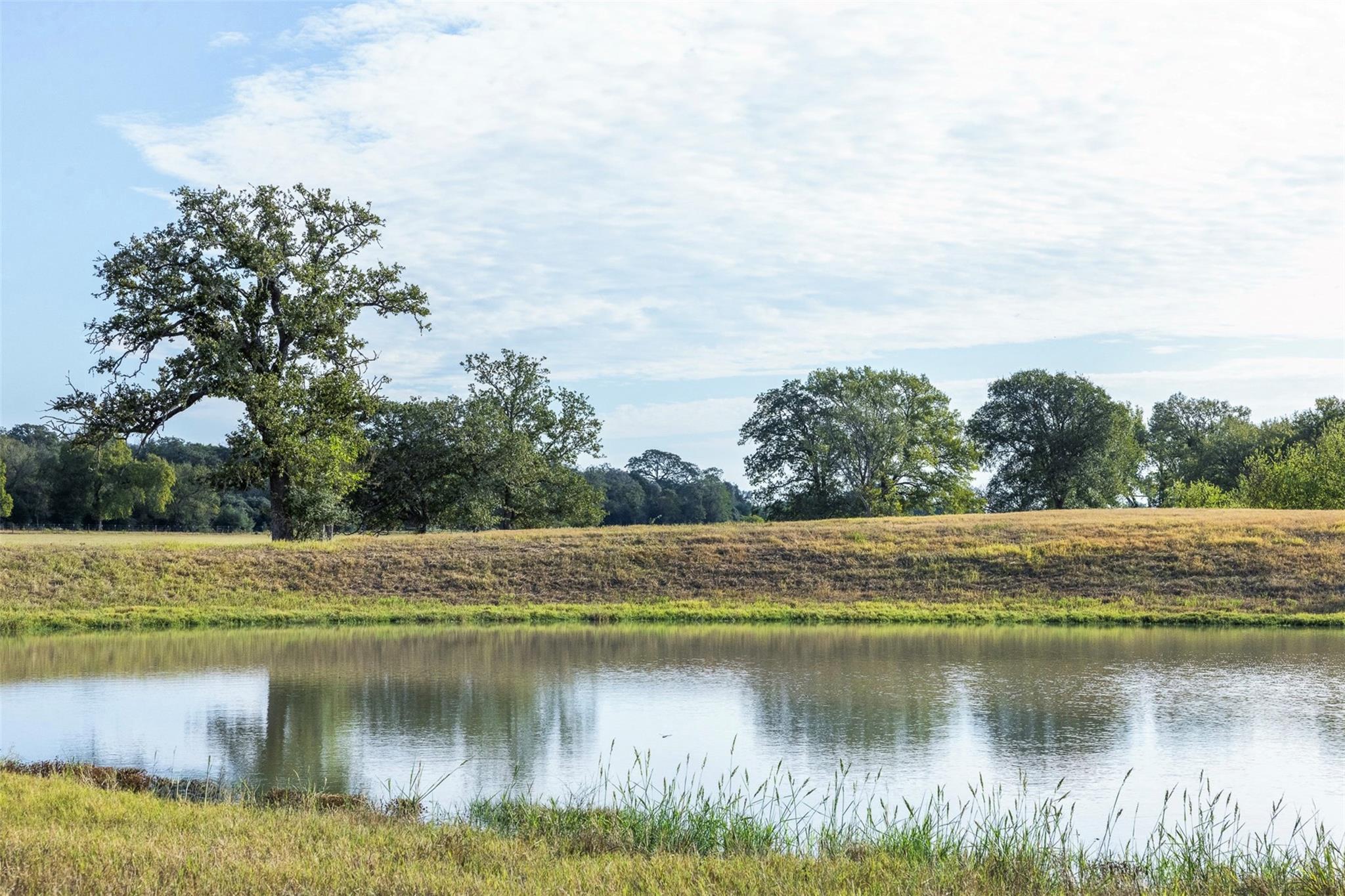 1463 County Road 324