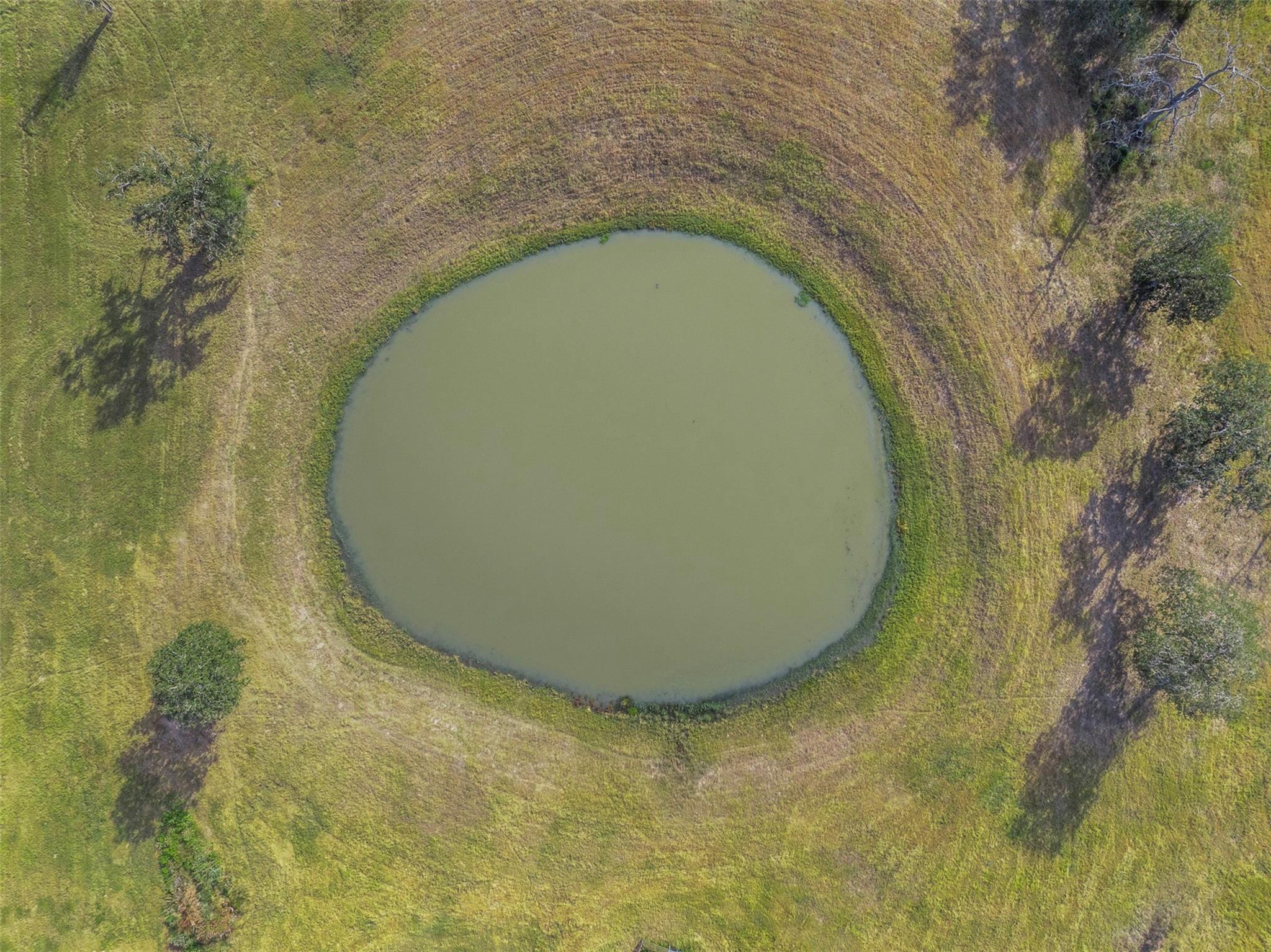 1463 County Road 324