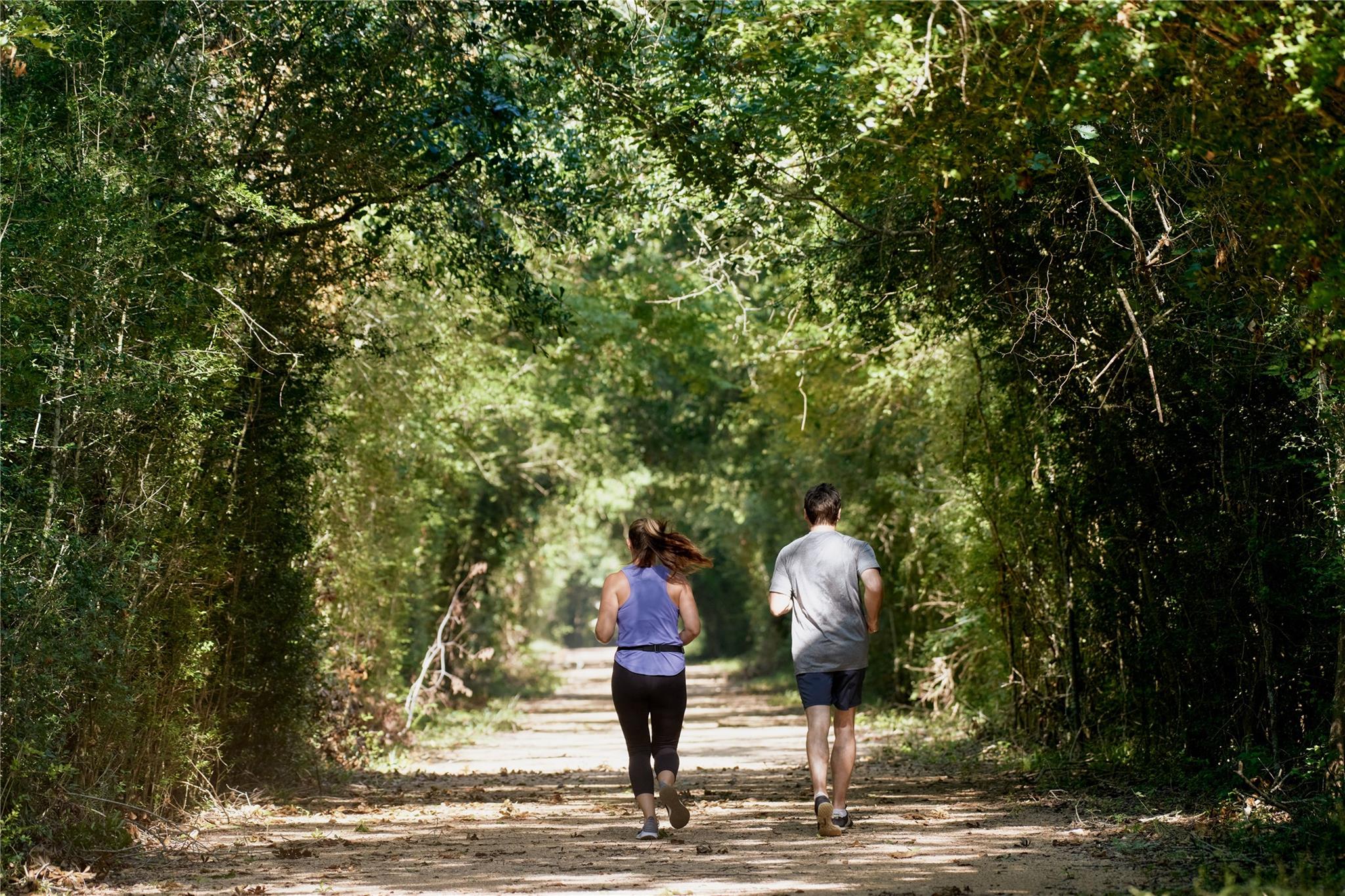 22014 Dahoon Holly Way