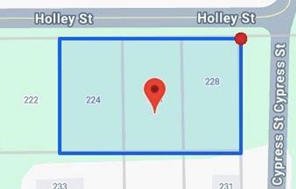 Photo of 228 Holly Street, Huffman, TX 77336 (MLS # 34015901)