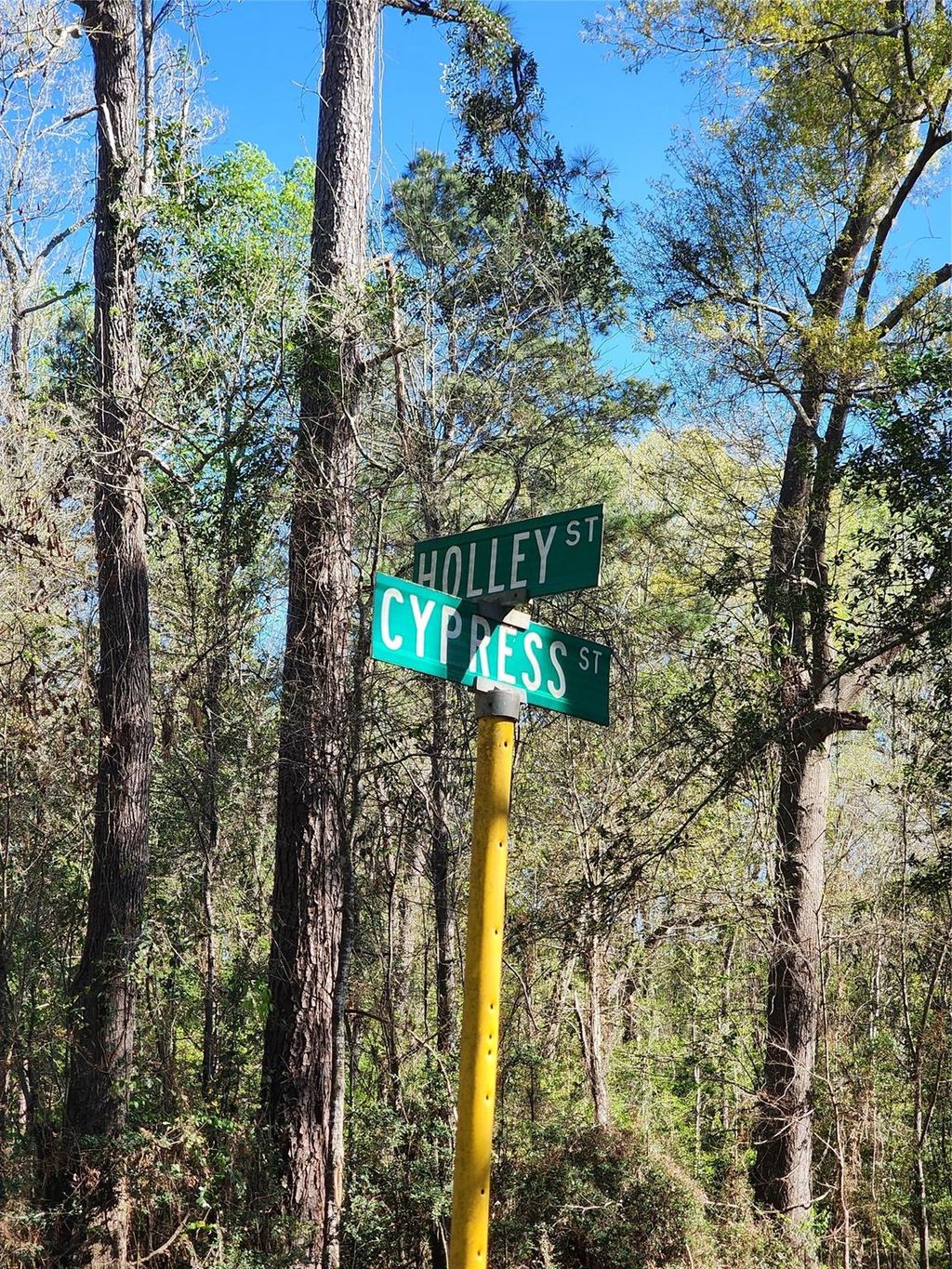 Photo of 228 Holly Street, Huffman, TX 77336 (MLS # 34015901)