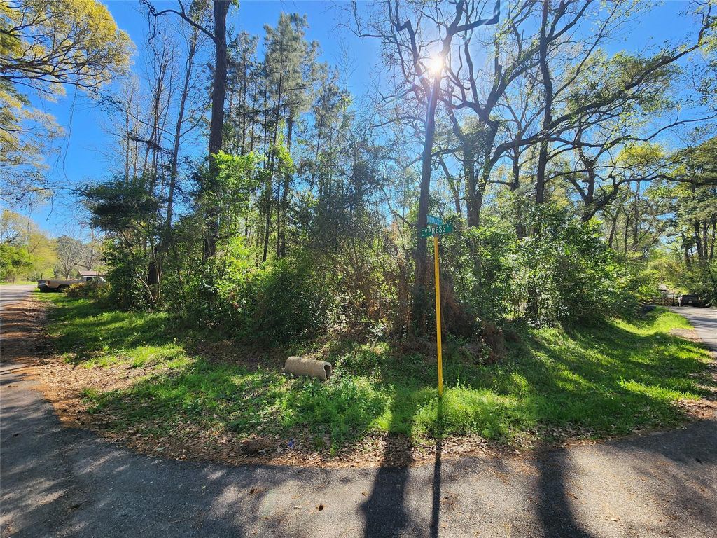 Photo of 228 Holly Street, Huffman, TX 77336 (MLS # 34015901)