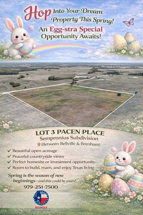 Vacant Land For Sale - LOT 3 Pacen Place<br/> Austin County, Chappell Hill, TX 77426