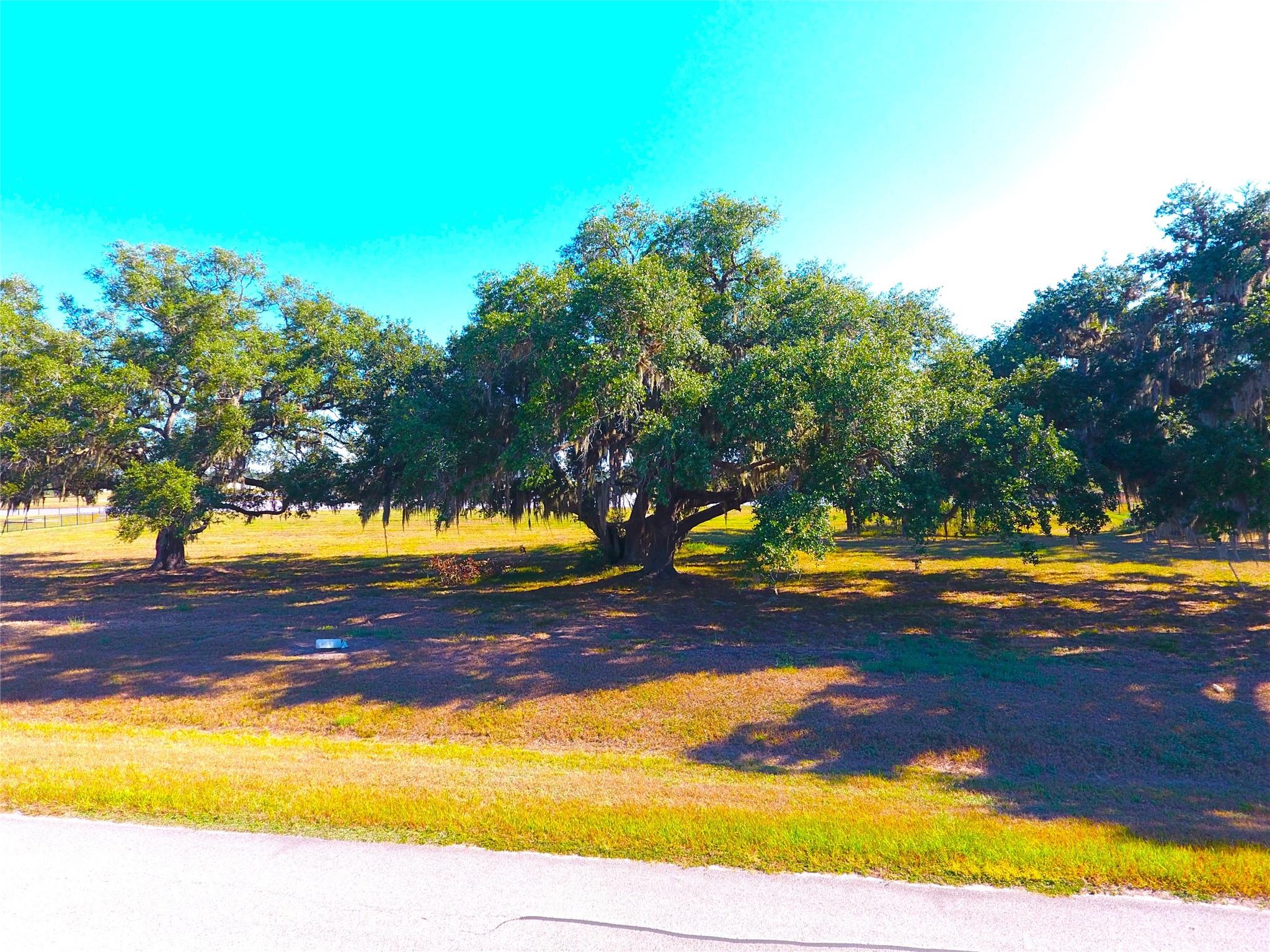 615 Lily Lane