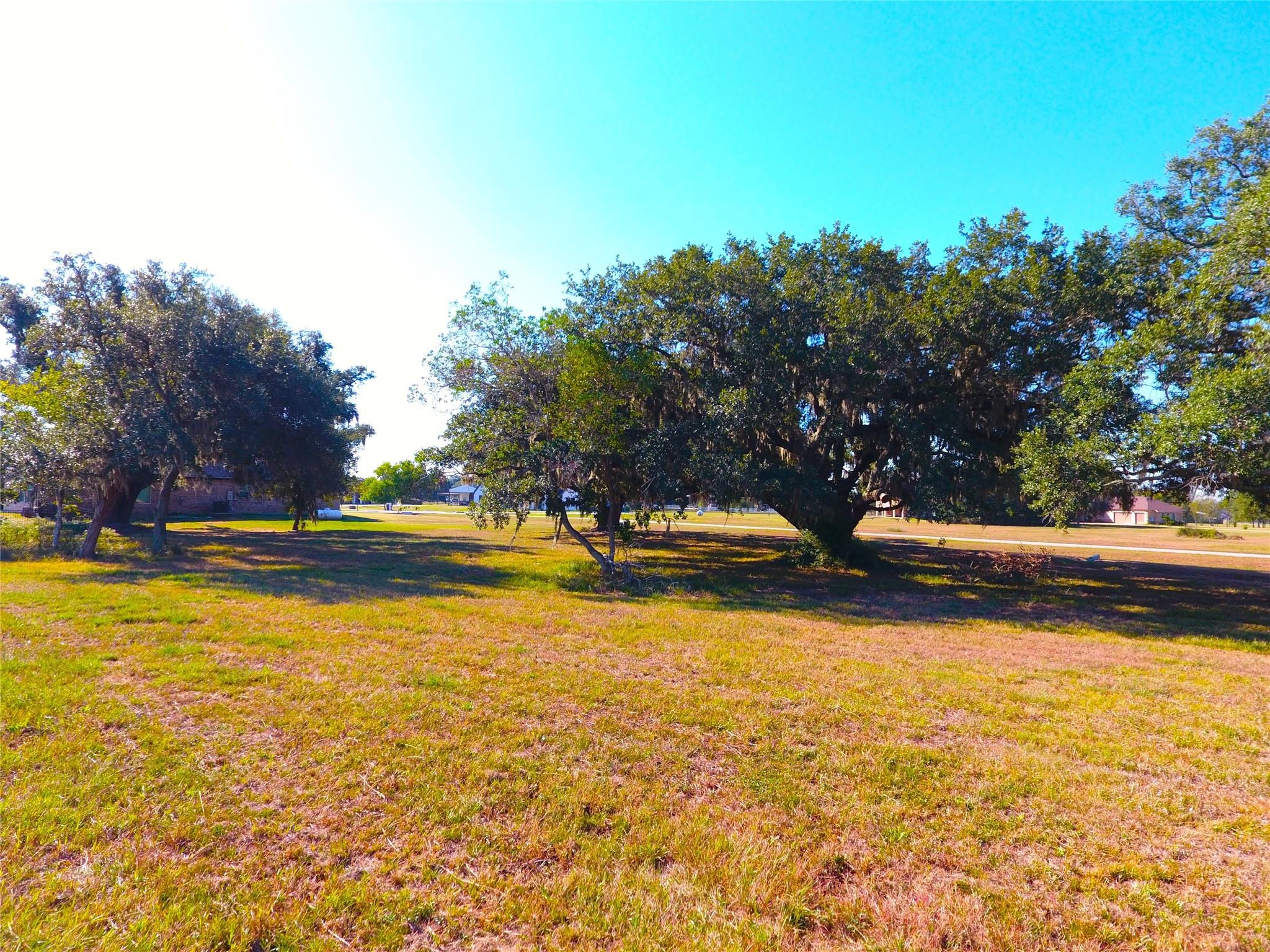 615 Lily Lane