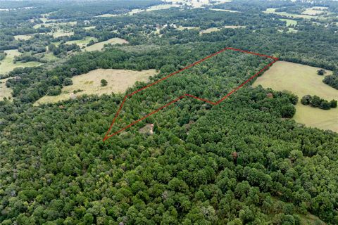 Photo of 22 Acr Private Road 5040, Grapeland, TX 75844 (MLS # 65295342)