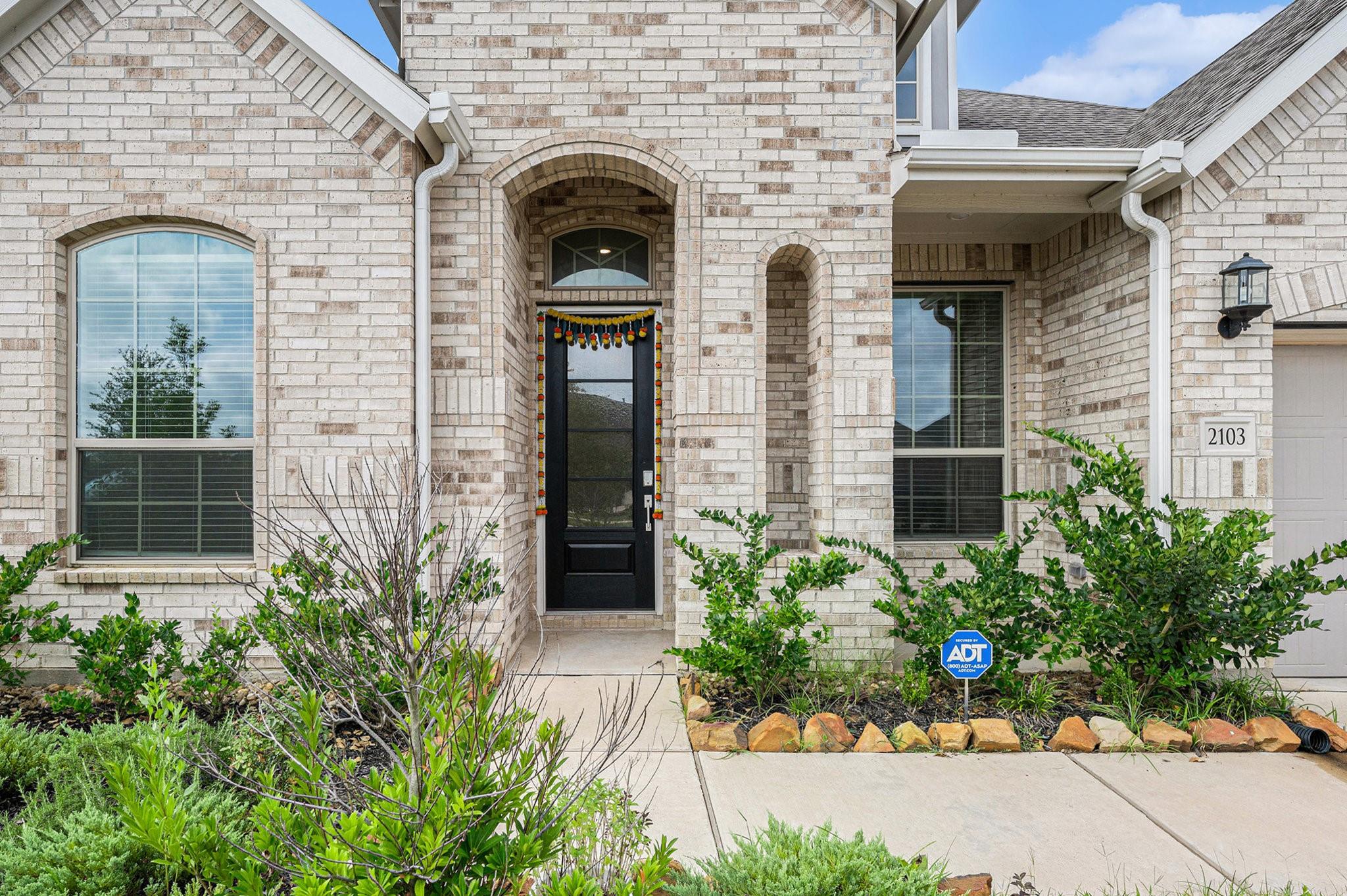 2103 Kishu Mandarin Trail