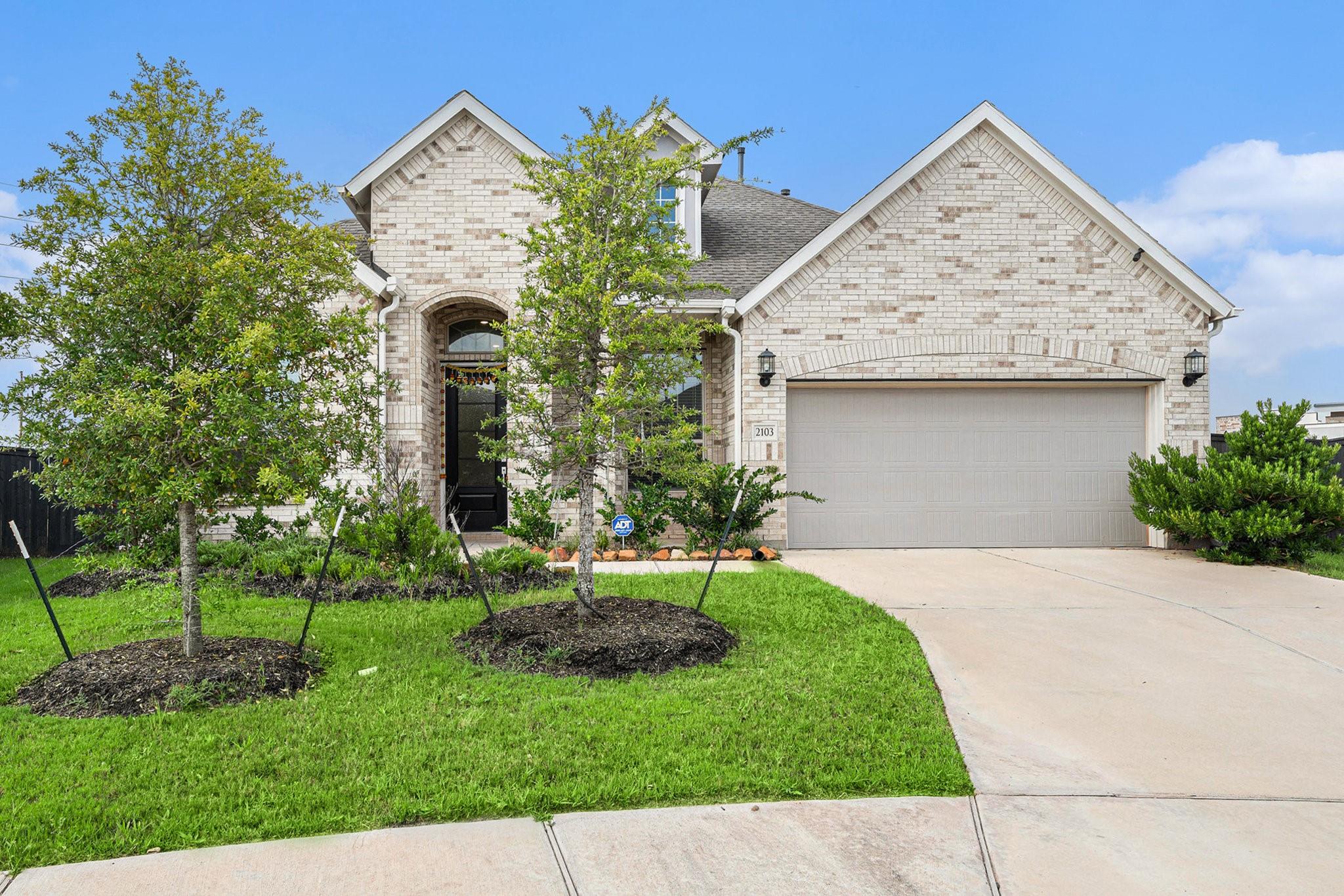 2103 Kishu Mandarin Trail