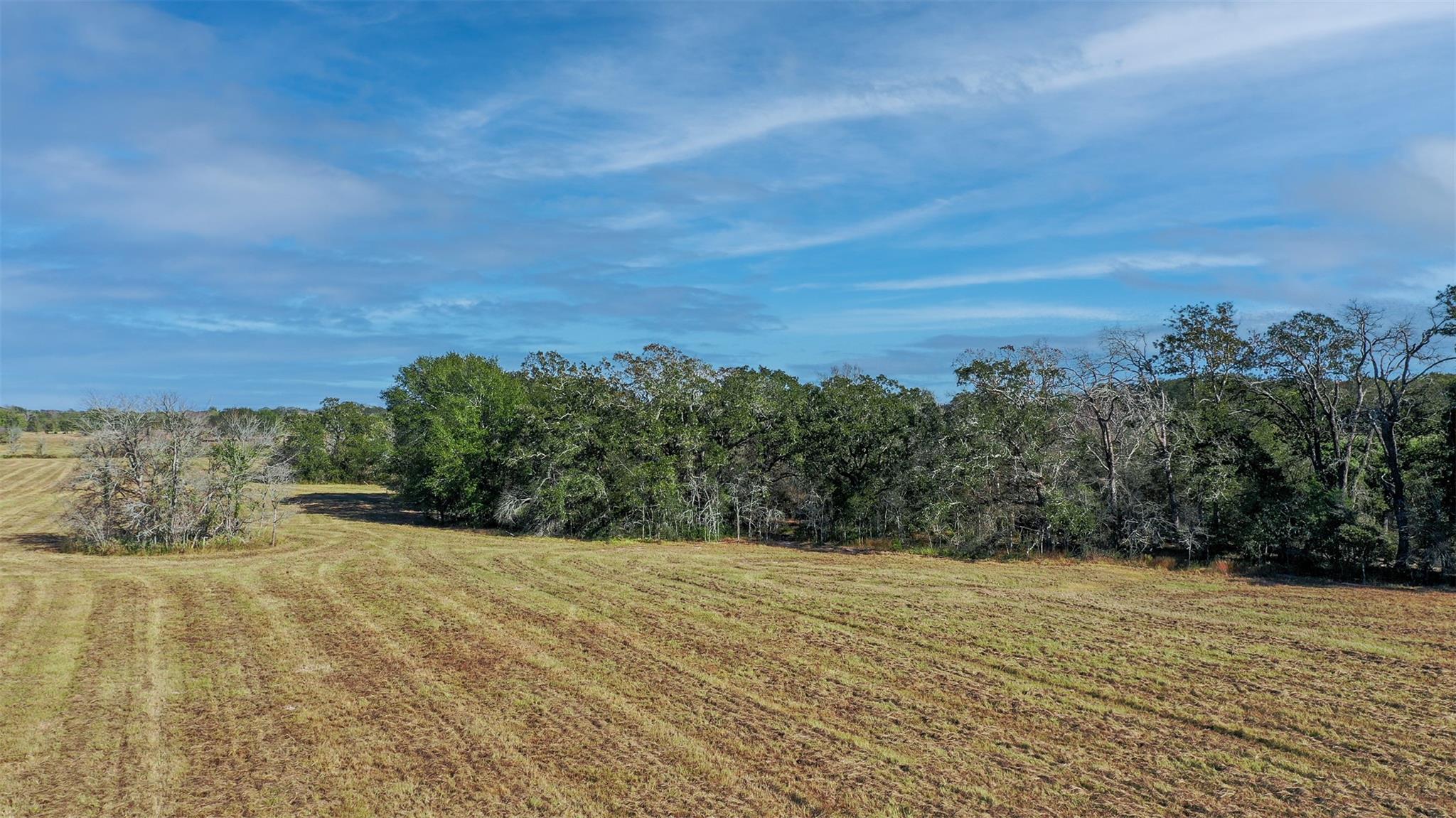 Lot 6 County Road 229