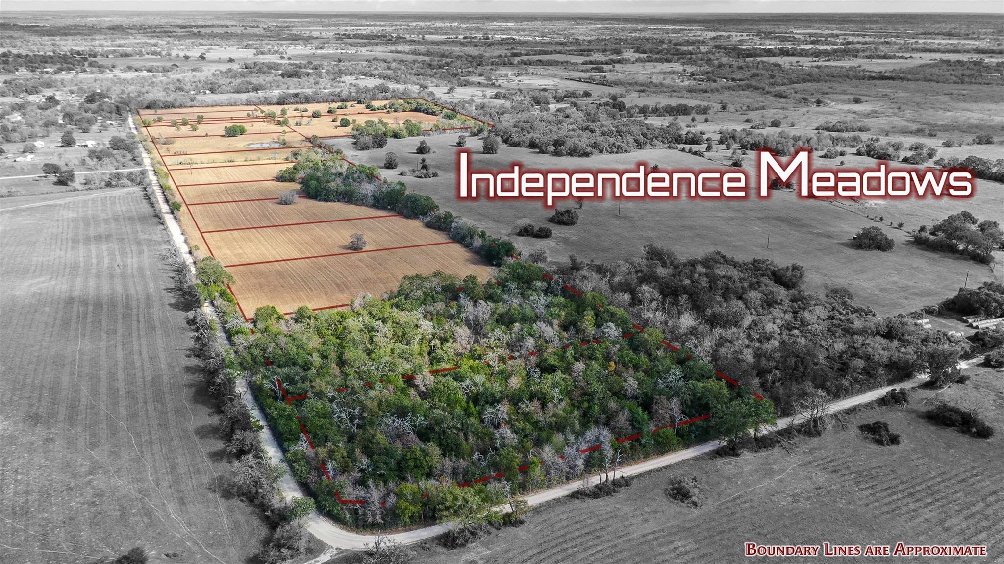 Lot 6 County Road 229